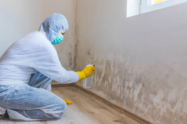 Licensed Mold Remediation service in District of Columbia, DC - WQB Mold Removal