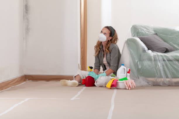 Reliable Mold Remediation contractor in District of Columbia, DC by WQB Mold Removal